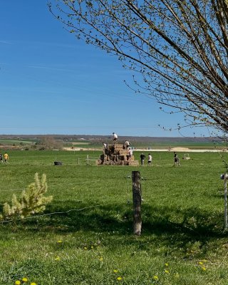 Agri Run au lycée la Barotte