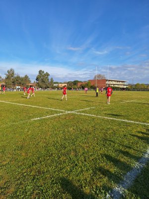 Championnat de France UNSS de rugby des lycées agricoles - Albi 2026