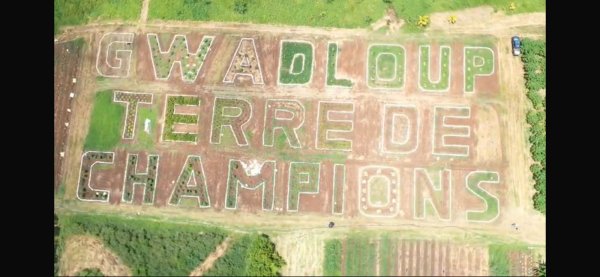 Guadeloupe AGROCAMPUS - chantier paysager avec pour slogan "Gwadloup Terre de Champions " et les 5 anneaux des J.O.