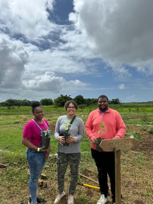 Guadeloupe AGROCAMPUS - chantier paysager avec pour slogan "Gwadloup Terre de Champions " et les 5 anneaux des J.O.
