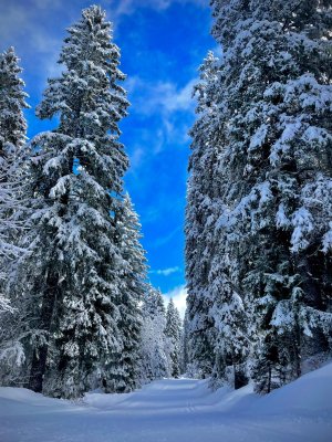 Option EPS : Découverte de nouvelles activités dans le massif des Bauges / LEGTA Clermont-Marmilhat