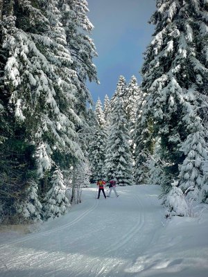 Option EPS : Découverte de nouvelles activités dans le massif des Bauges / LEGTA Clermont-Marmilhat