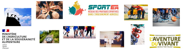 image Bandeau_Site_SportEA_fin.png (8.7MB)