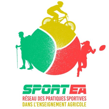 PNF 2025 : formation « Biqualification dans les SSEA Rugby : mettre en place des projets ambitieux en lien avec les partenaires locaux »