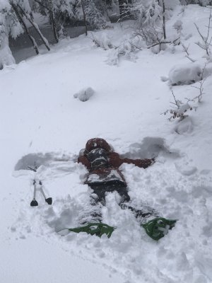 Séjour hivernal pour les STAV - Sylva Campus
