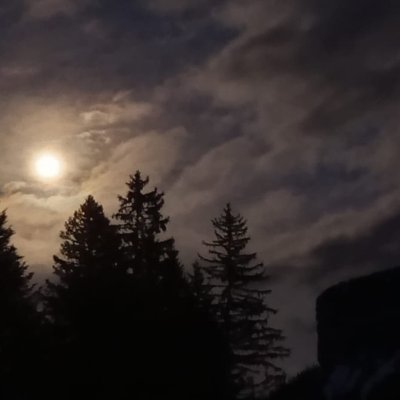 Sortie nocturne en raquettes à neige pour l'AS du LEGTA de Grenoble Saint-Ismier !