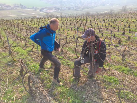 Webinaire "Mieux connaitre et utiliser son corps pour se préparer aux métiers du vivant comme un sportif de haut-niveau" - Jeudi 20/03/2025